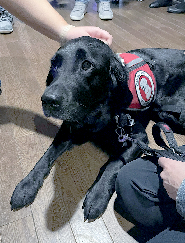 Jersey, the newest facility dog at the University of Minnesota Masonic Institute for the Developing Brain