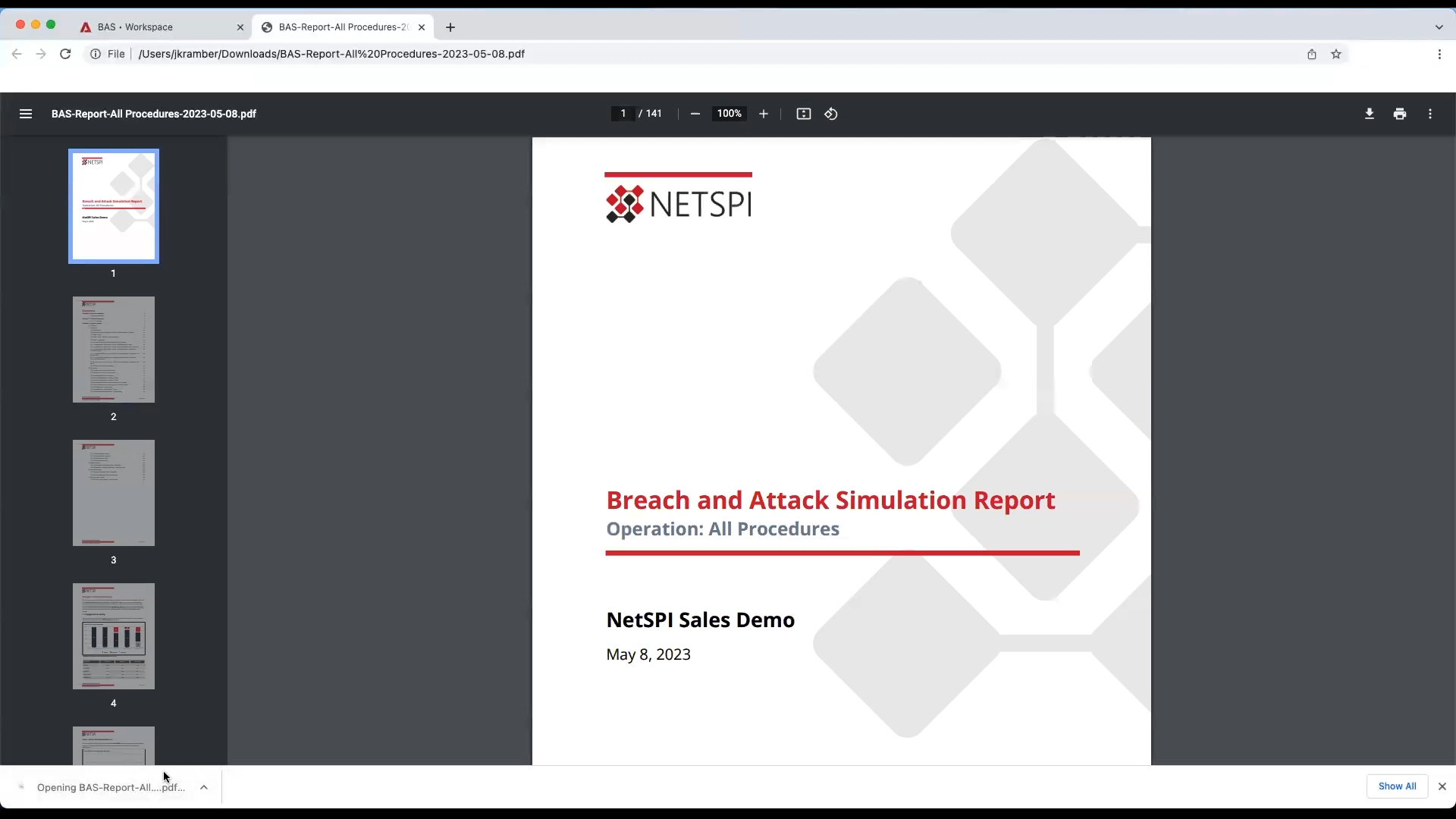 NetSPI's BAS PDF Export Feature