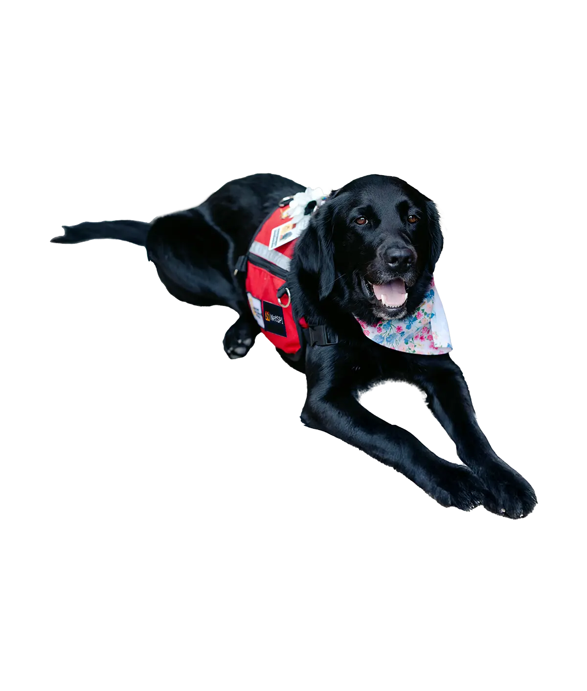 Jersey