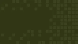 Penetration Testing vs. Vulnerability Scanning: Key Differences