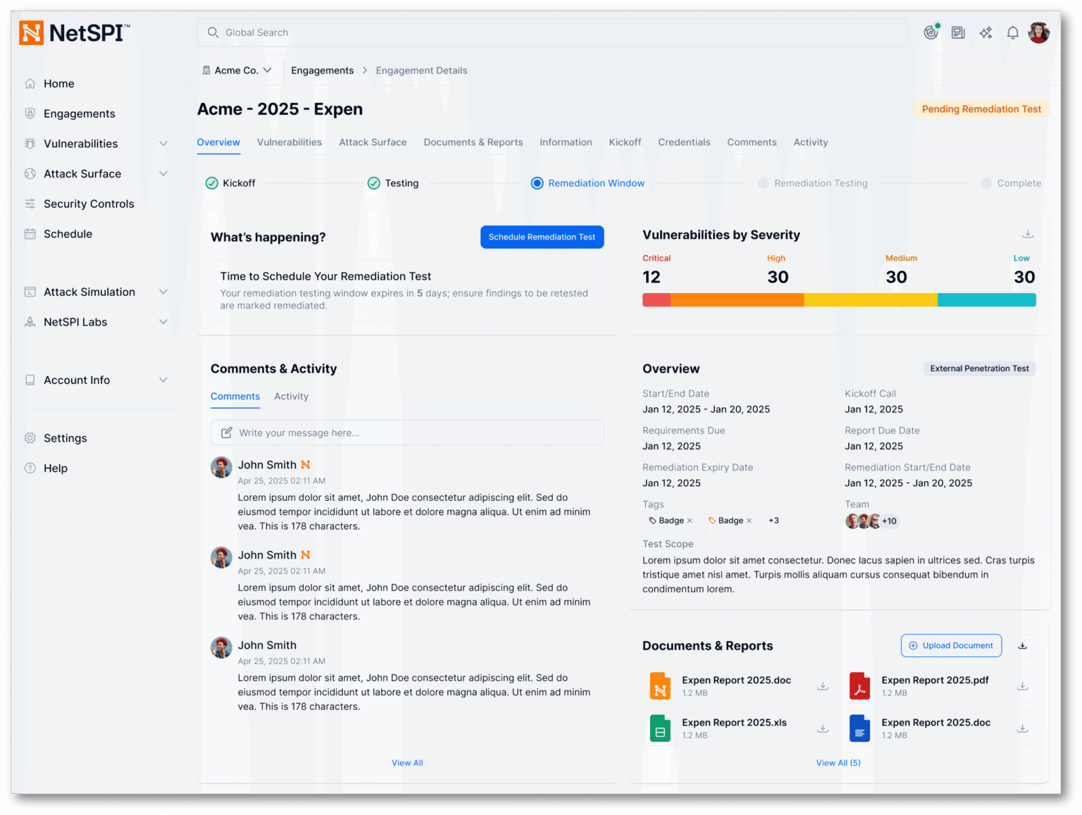 The NetSPI Platform - NetSPI
