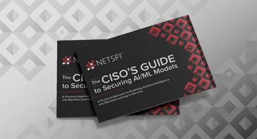 The CISO's Guide to Securing AI/ML Models 