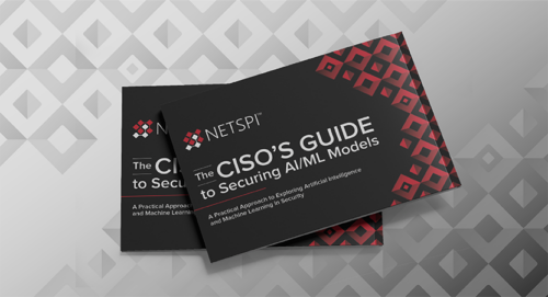 The CISO's Guide to Securing AI/ML Models